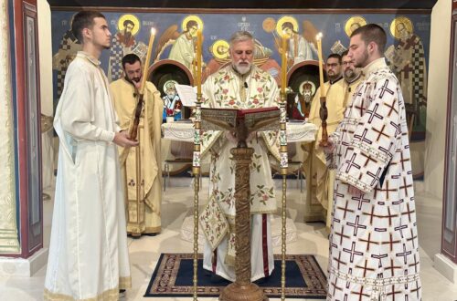 Беседа Владике Григорија у Диселдорфу 17. новембра 2024.